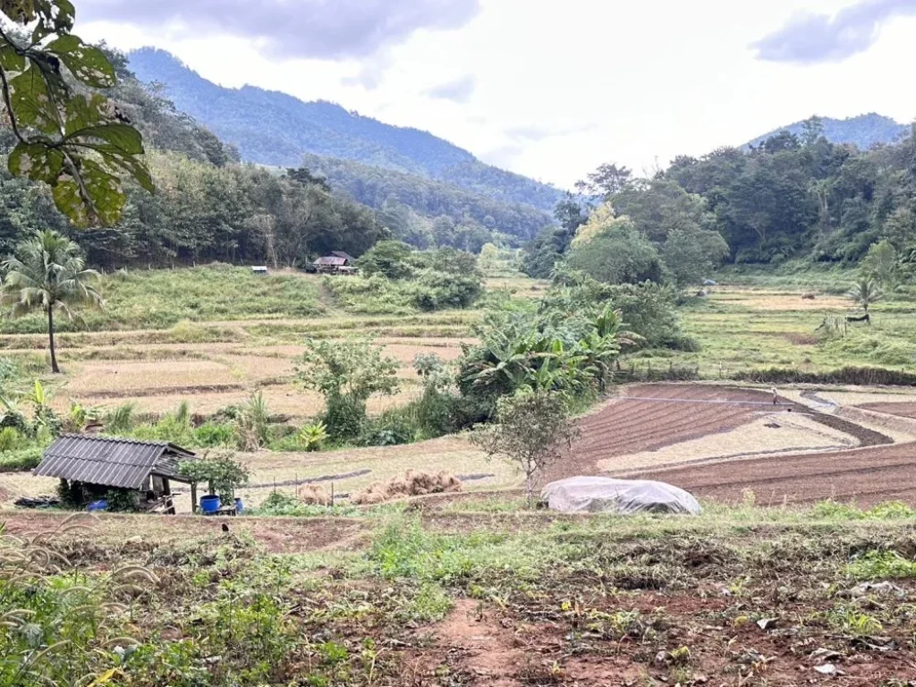 ขายที่ดินติดลำธาร เนื้อที่ 20-0-23 ไร่ ติดถนนลาดยาง สะเมิง