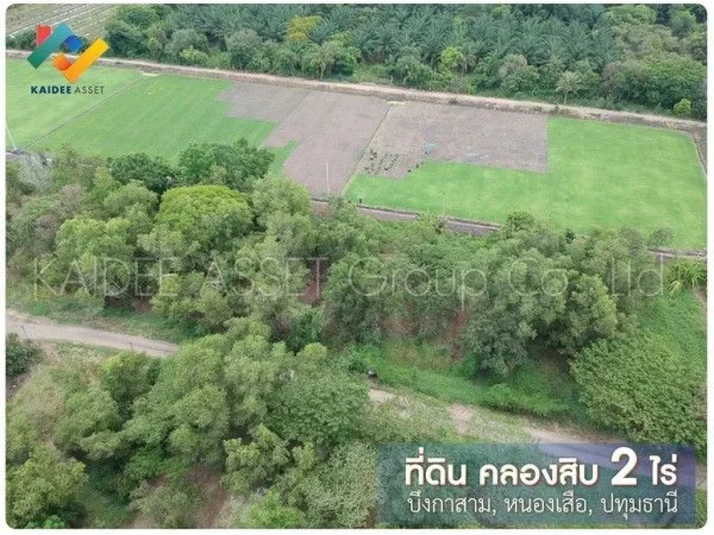 ที่ดิน เนื้อที่ 2 ไร่ ลำลูกกา คลอง 10 หนองเสือ ปทุมธานี