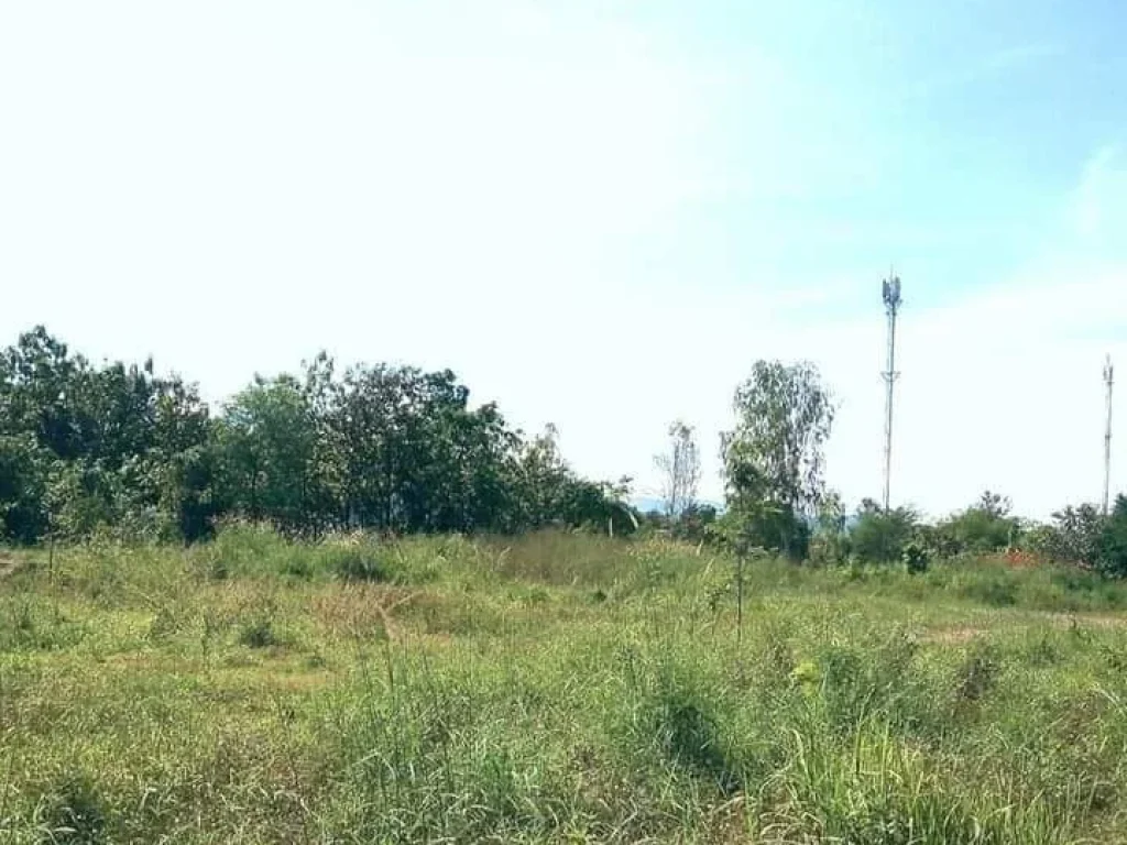 ที่ดินแปลงสวย บนเนิน ติดถนนสายหลัก อน้ำปาด อุตรดิตถ์