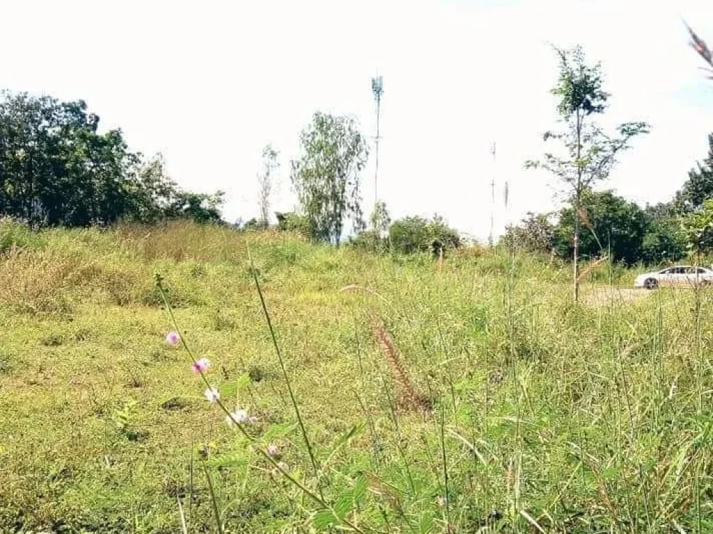 ที่ดินแปลงสวย บนเนิน ติดถนนสายหลัก อน้ำปาด อุตรดิตถ์