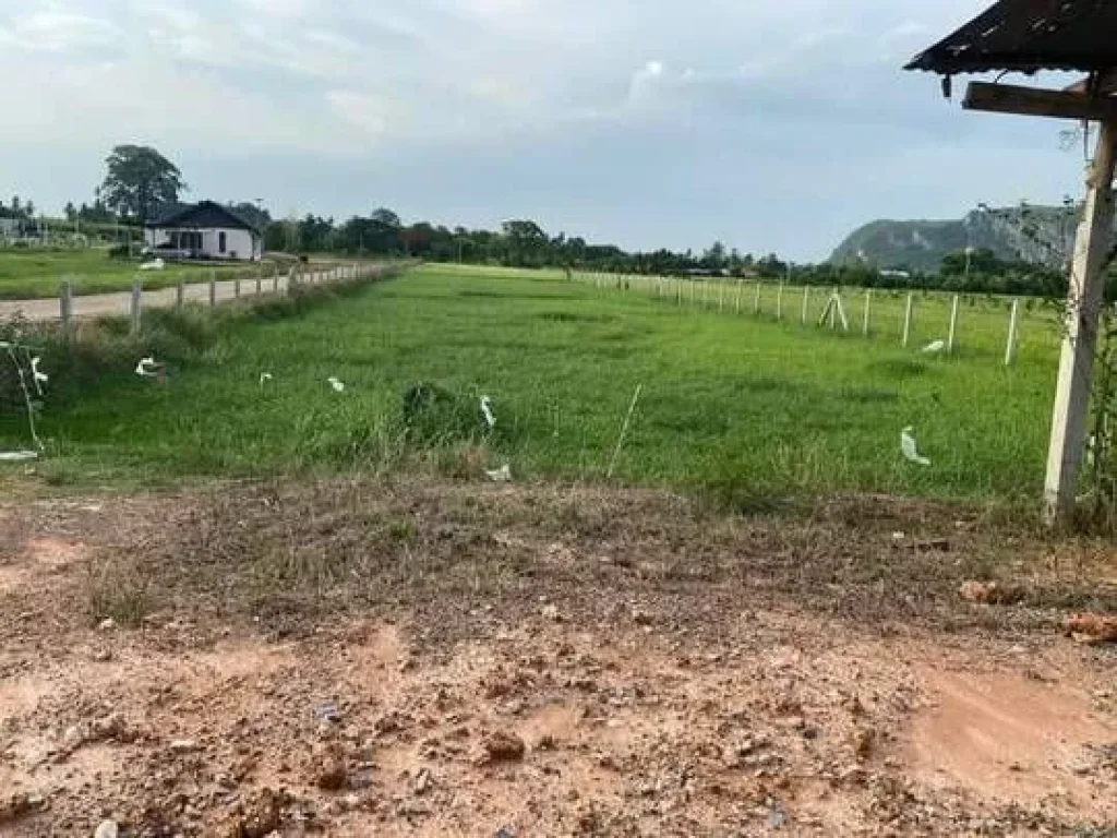 ที่ดิน 1 ไร่ ติดถนนแถมบรรยากาศคือดีย์เวอร์ ด้านหน้ามีวิวเขา