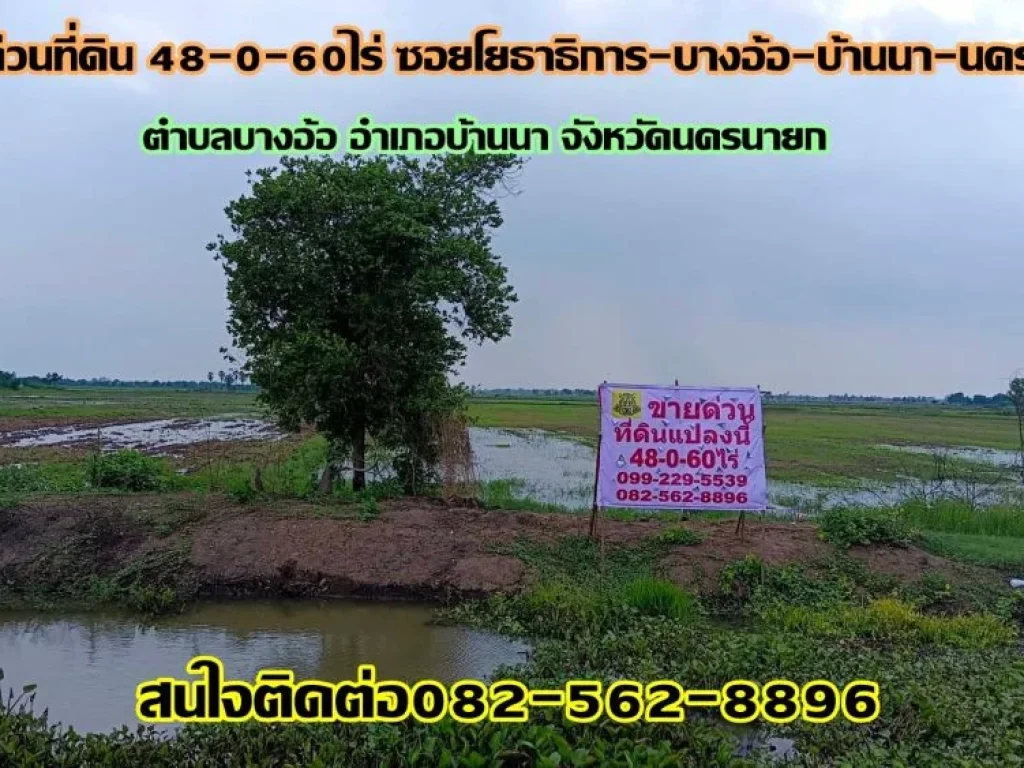 ขายด่วนที่ดิน 48-0-60ไร่ ซอยโยธาธิการ-บางอ้อ-บ้านนา-นครนายก