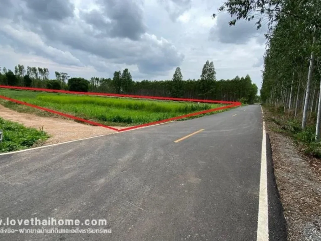 ขายที่ดิน ถนนทุ่งกระสัง บ้านห้วยแกะ แปลงยาว ฉะเชิงทรา พื้นที่