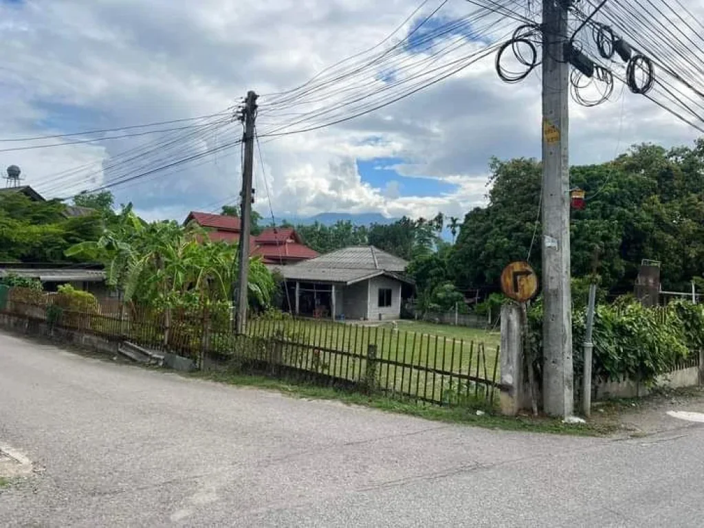 ขายที่ดินบ้านริมใต้แม่ริมติดถนนสองด้านติดถนนลาดยางโฉนดพร้อมโ