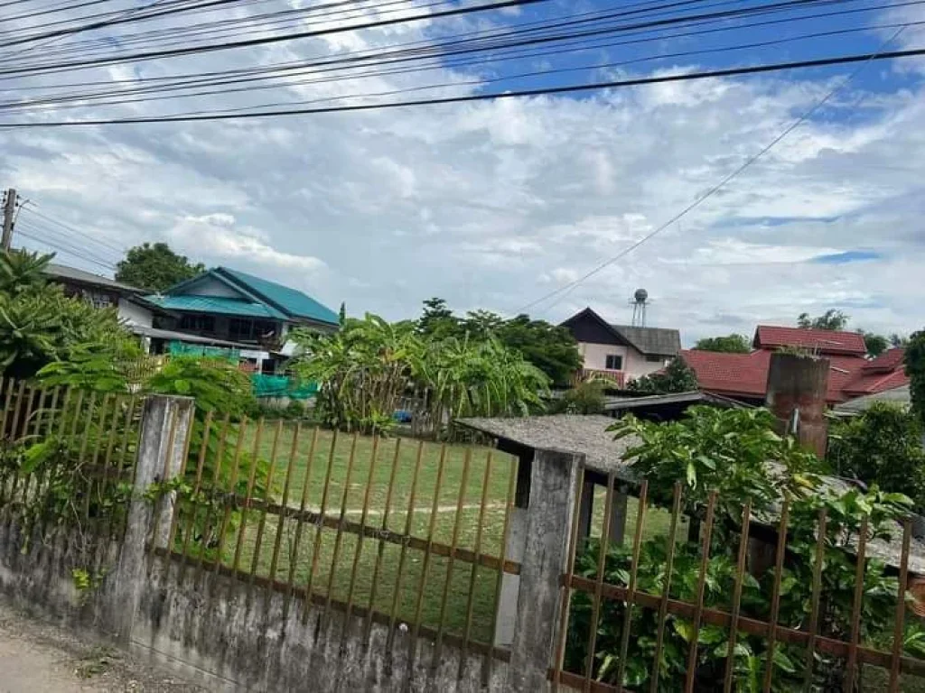 ขายที่ดินบ้านริมใต้แม่ริมติดถนนสองด้านติดถนนลาดยางโฉนดพร้อมโ