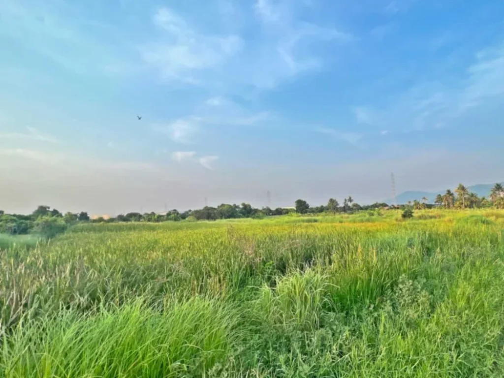 ขายที่ดินสวยบรรยากาศบริสุทธิ์ เดินทางสะดวกสบาย วิวภูเขา