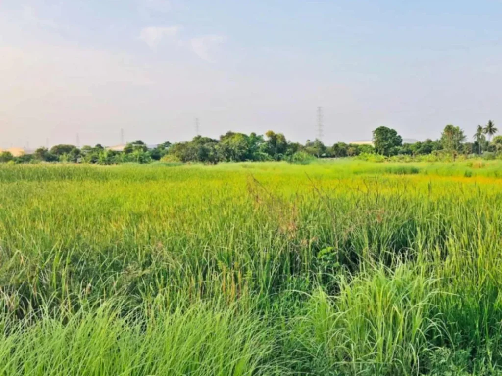 ขายที่ดินสวยบรรยากาศบริสุทธิ์ เดินทางสะดวกสบาย วิวภูเขา