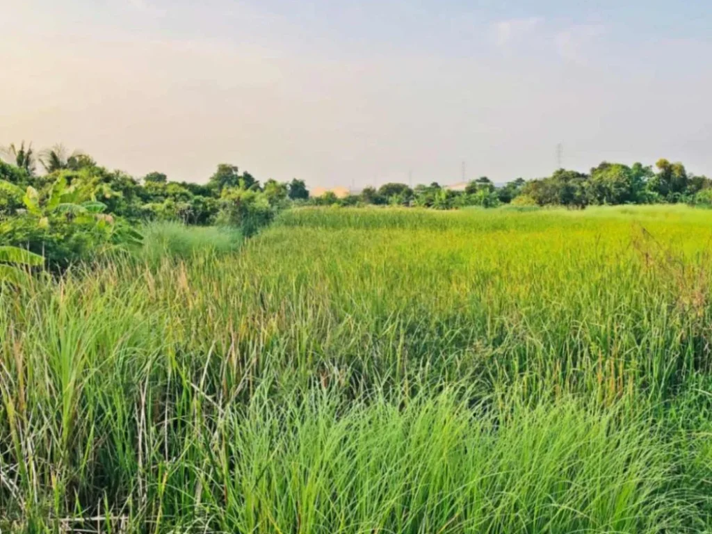 ขายที่ดินสวยบรรยากาศบริสุทธิ์ เดินทางสะดวกสบาย วิวภูเขา