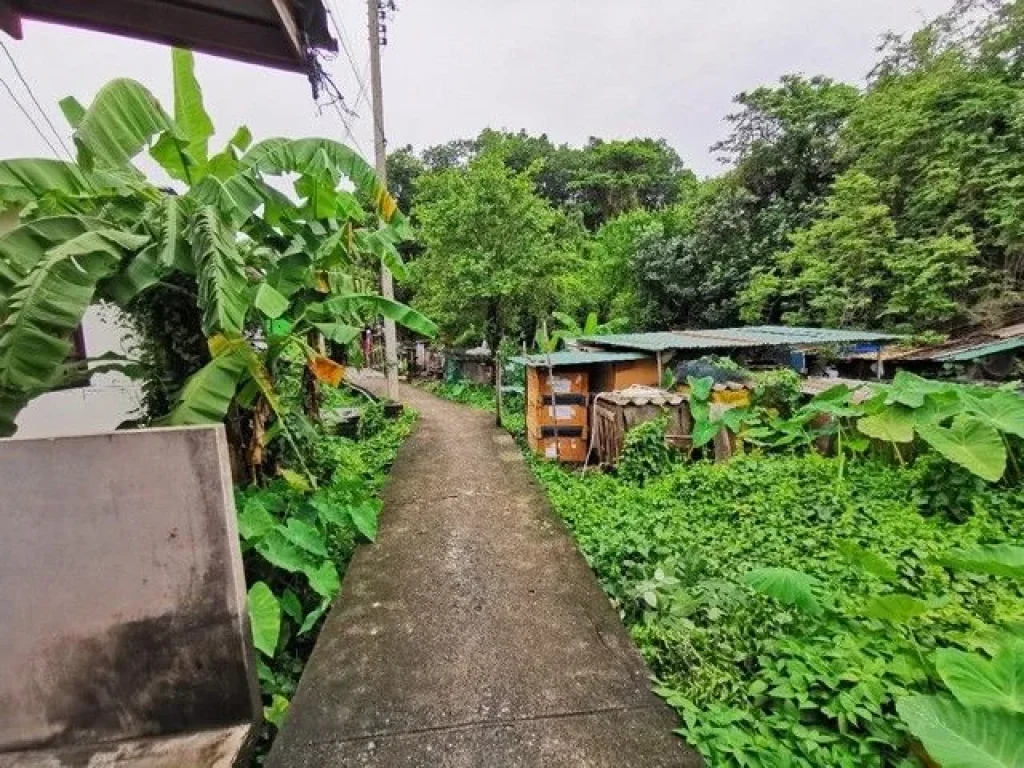 ขายที่ดิน 5 ไร่ โซนสุขสวัสดิ์-ประชาอุทิศ ทำเลดี