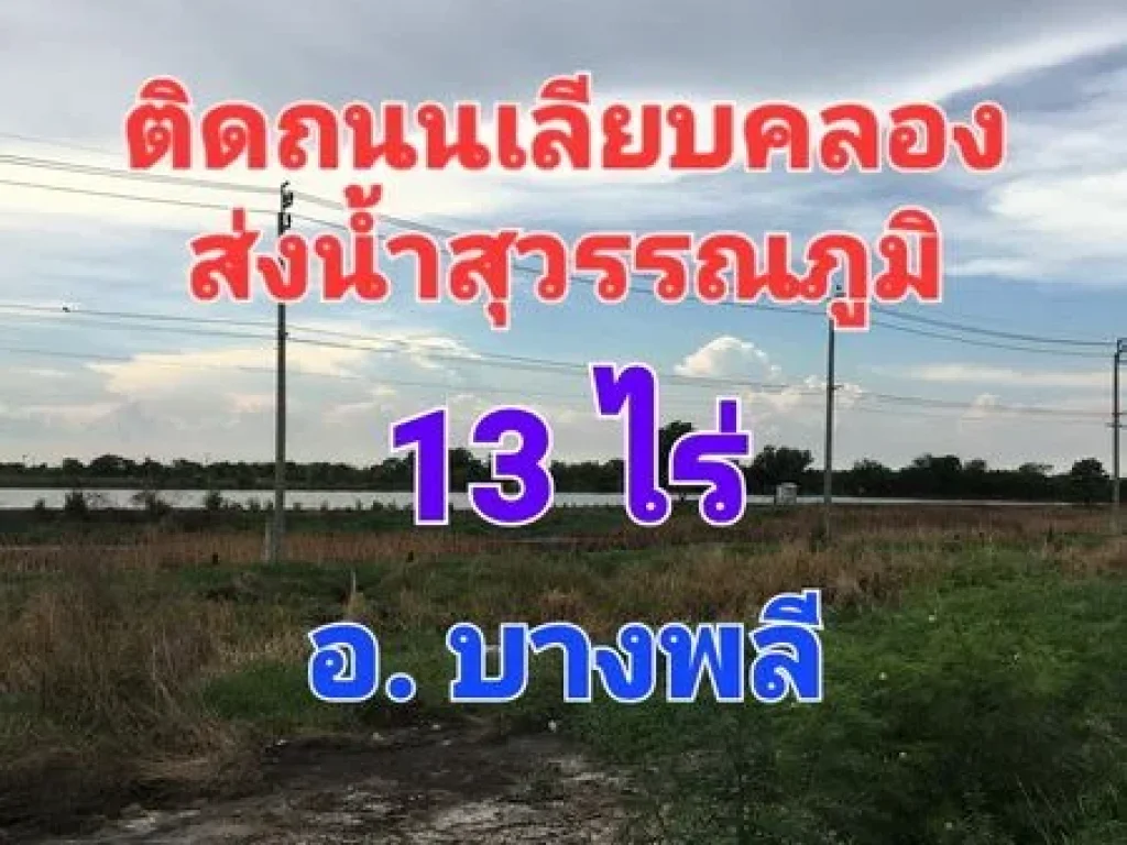 ขายที่ดินเปล่า เนื้อที่ 13 ไร่ ติดถนนเลียบคลองส่งน้ำสุวรรณภู