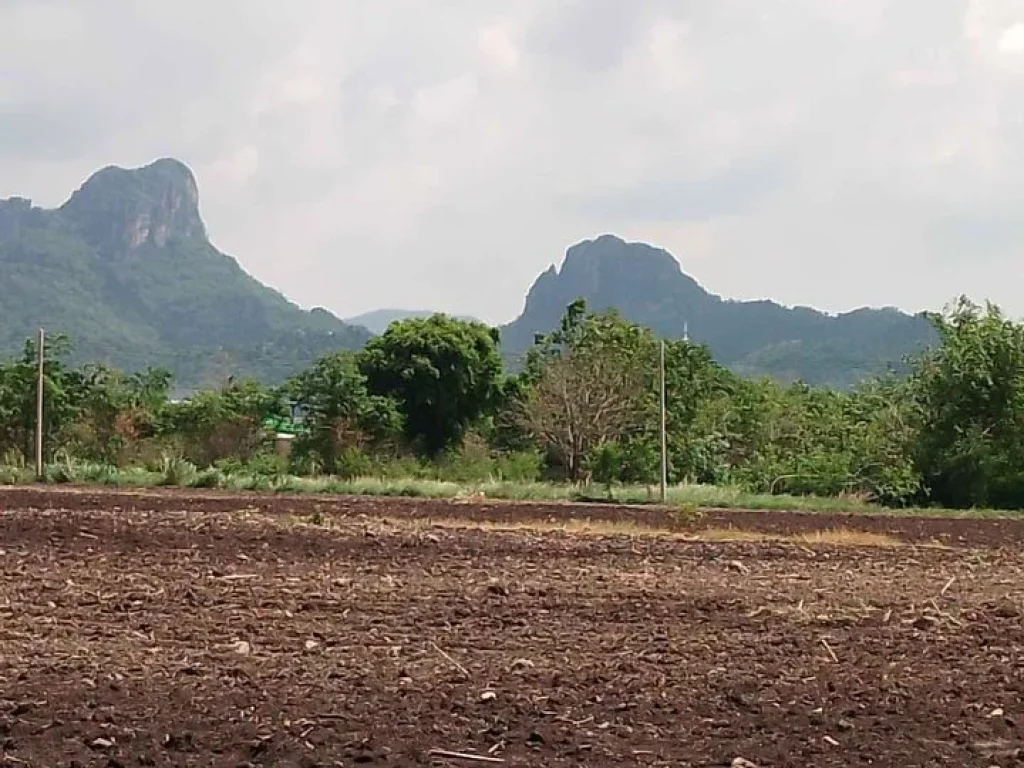 ที่ดินสวยบริเวณบ้านซับนางเลิ้ง โฉนดครุฑแดง 150