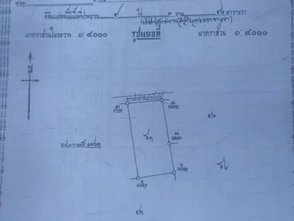 ขายที่ดิน ทำเลทอง ที่อำเภอแปลงยาว จังหวัดฉะเชิงเทรา