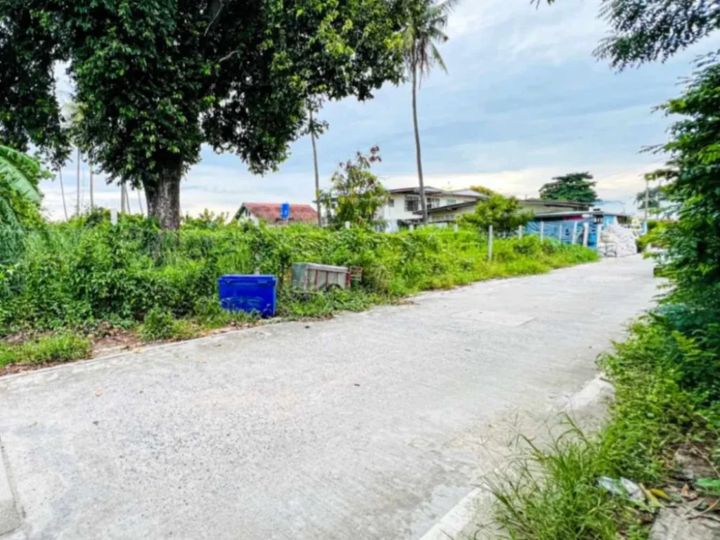 ขายที่ดินสวย ทำเลดี ใกล้หาดบางแสนเดินทางเพียง 1