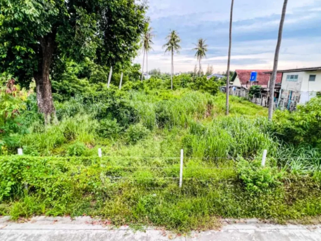 ขายที่ดินสวย ทำเลดี ใกล้หาดบางแสนเดินทางเพียง 1