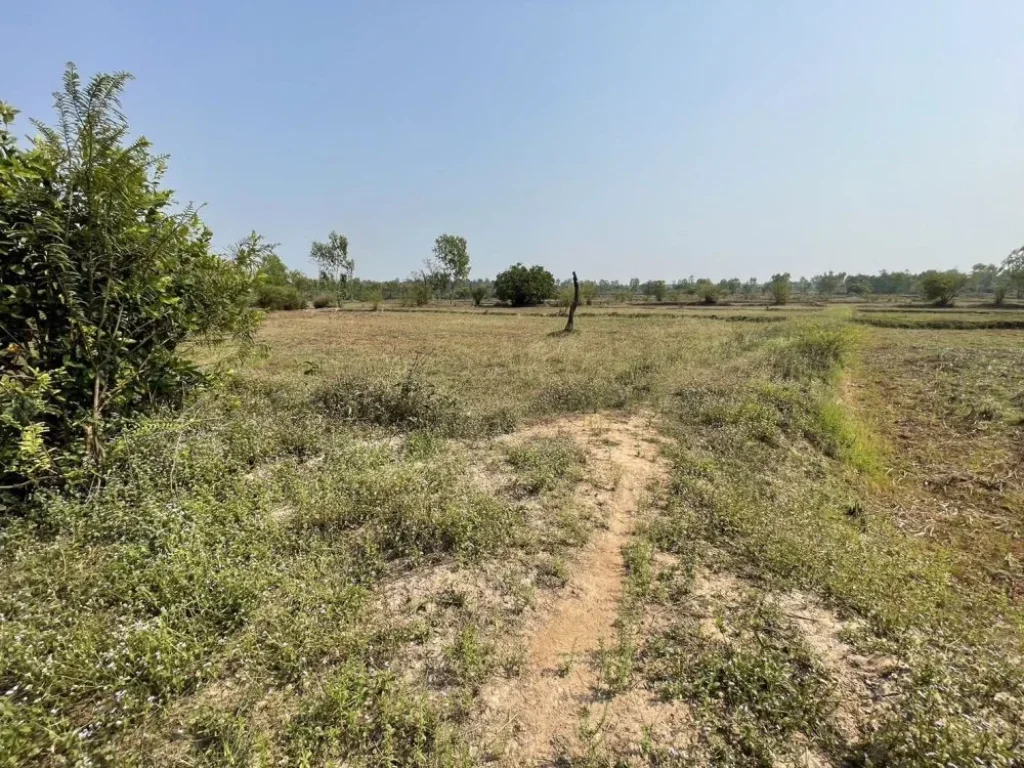 ขายที่ดิน ติดถนน ติด ถนน 4 แลน อุบล-ศรีสะเกษ มีโฉนด