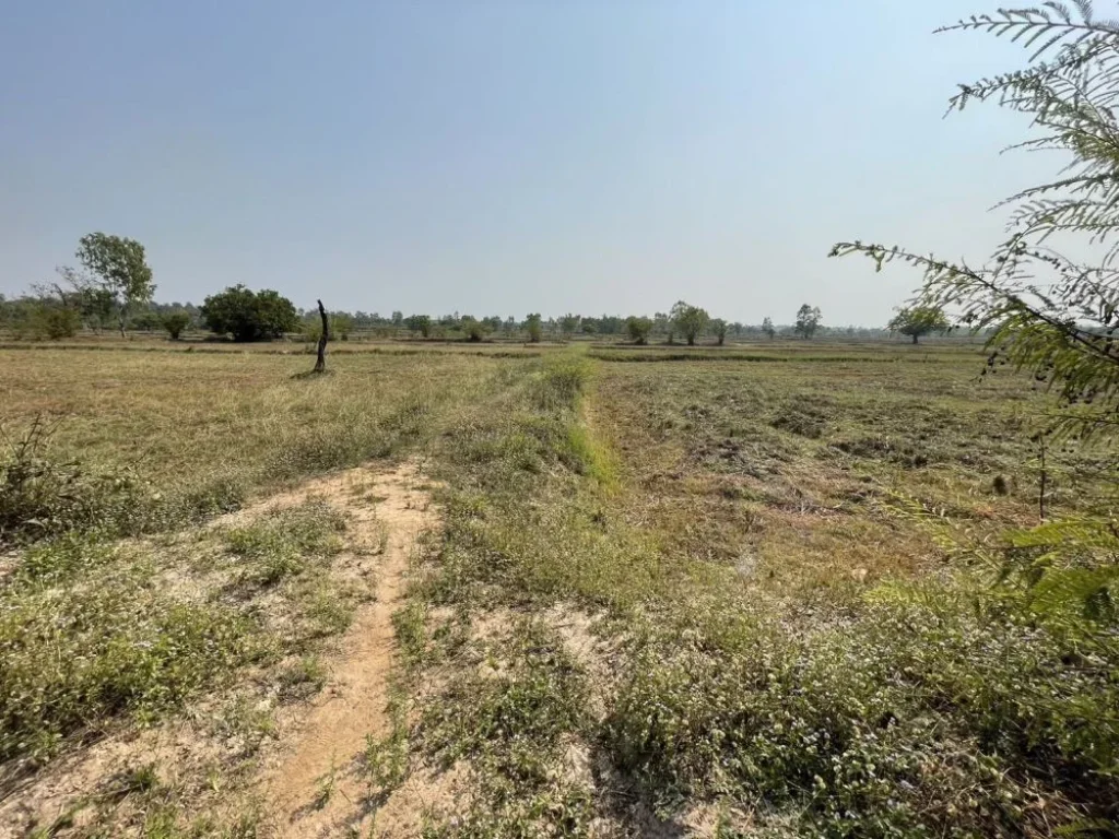 ขายที่ดิน ติดถนน ติด ถนน 4 แลน อุบล-ศรีสะเกษ มีโฉนด