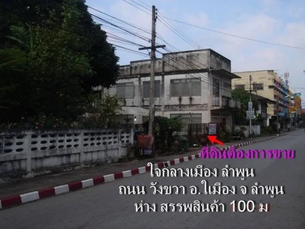 ขายและให้เช่า ที่ดิน ตำบลในเมือง อำเภอเมืองลำพูน จังหวัดลำพูน