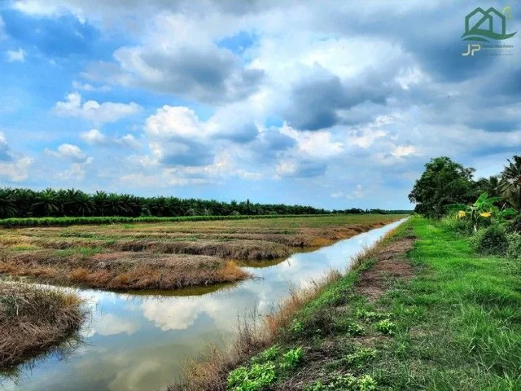 ขายที่ดินติดถนนเรียบคลอง 8 หนองเสือ 60 ไร่