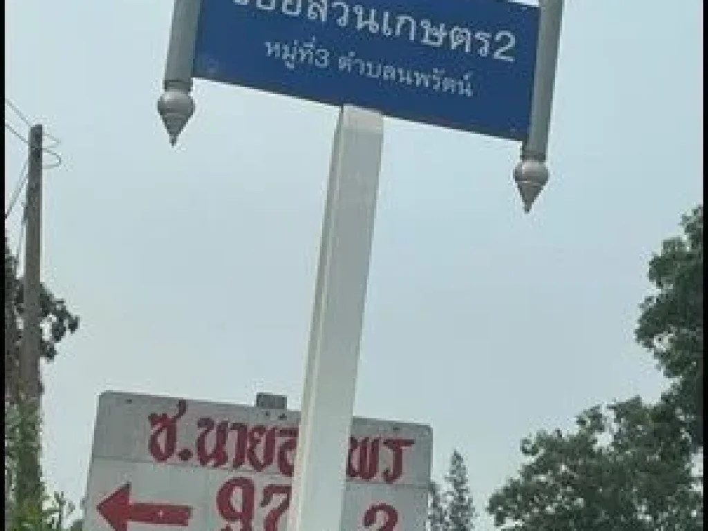 ขายที่ดิน 1ไร่ คลอง 12 ตนพรัตน์ หนองเสือ ปทุมธานี