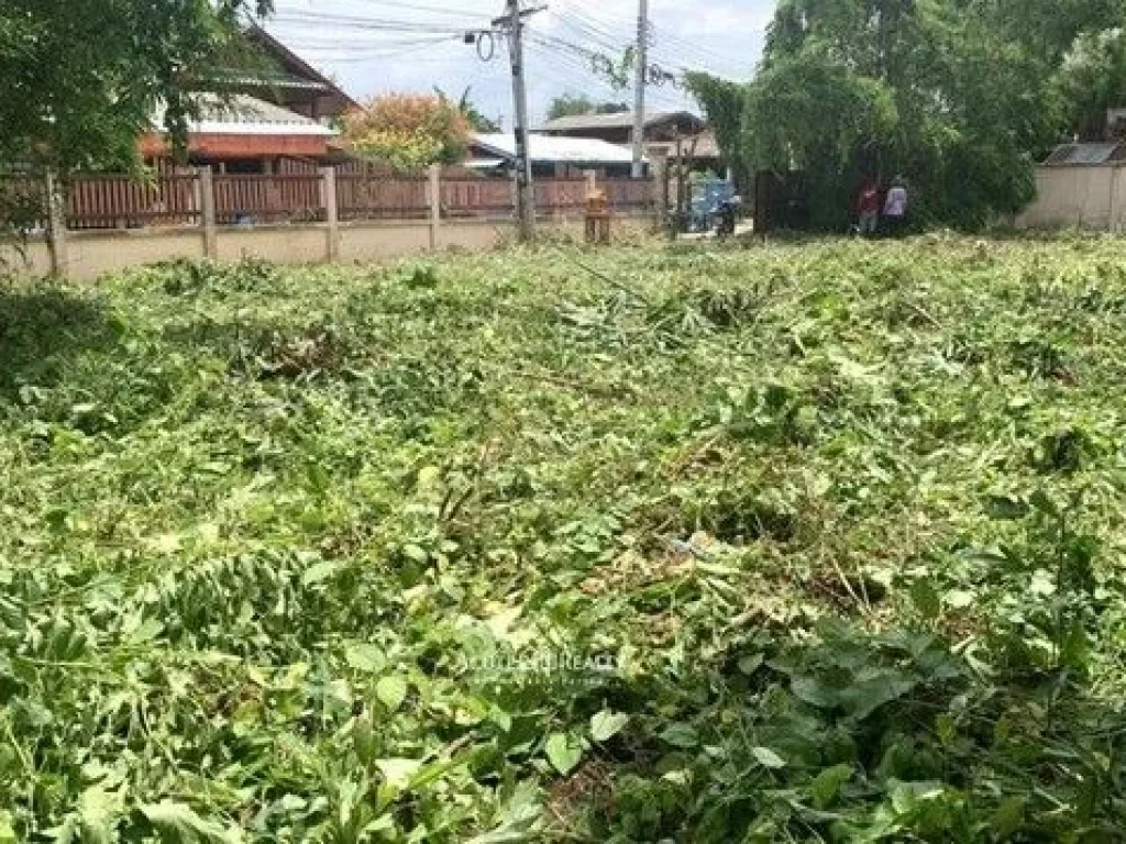 ขายที่ดินเปล่า ตหนองควาย อหางดง จเชียงใหม่ 162 ตรว