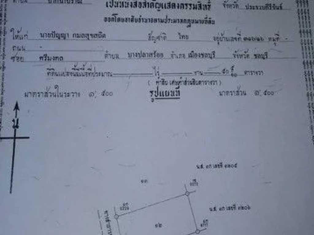 ขายที่ดินใกล้ทะเลปราณบุรี ติดเขากะโหลก ขนาด 50 ตารางวา