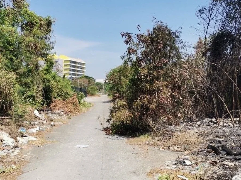 ขายที่ดินเปล่า ถนนพุทธมลฑล สาย 5 ตบางเตย อสามพราน จนครปฐม