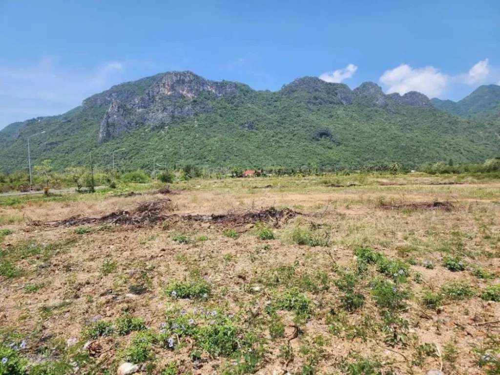 ขายที่ดินทำเลทอง 200 ตรวติดถนนลาดยาง คอนกรีต