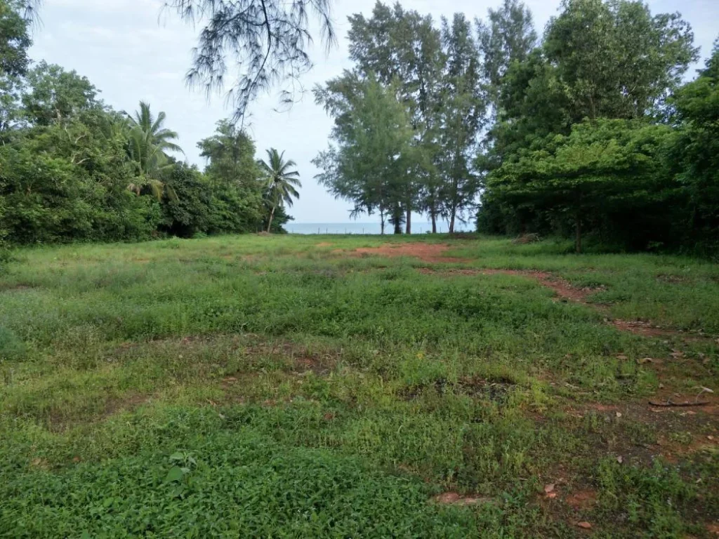 ที่ดินติดชายหาดบางสนทำเลสวย เหมาะแก่การลงทุนทำรีสอร์ท