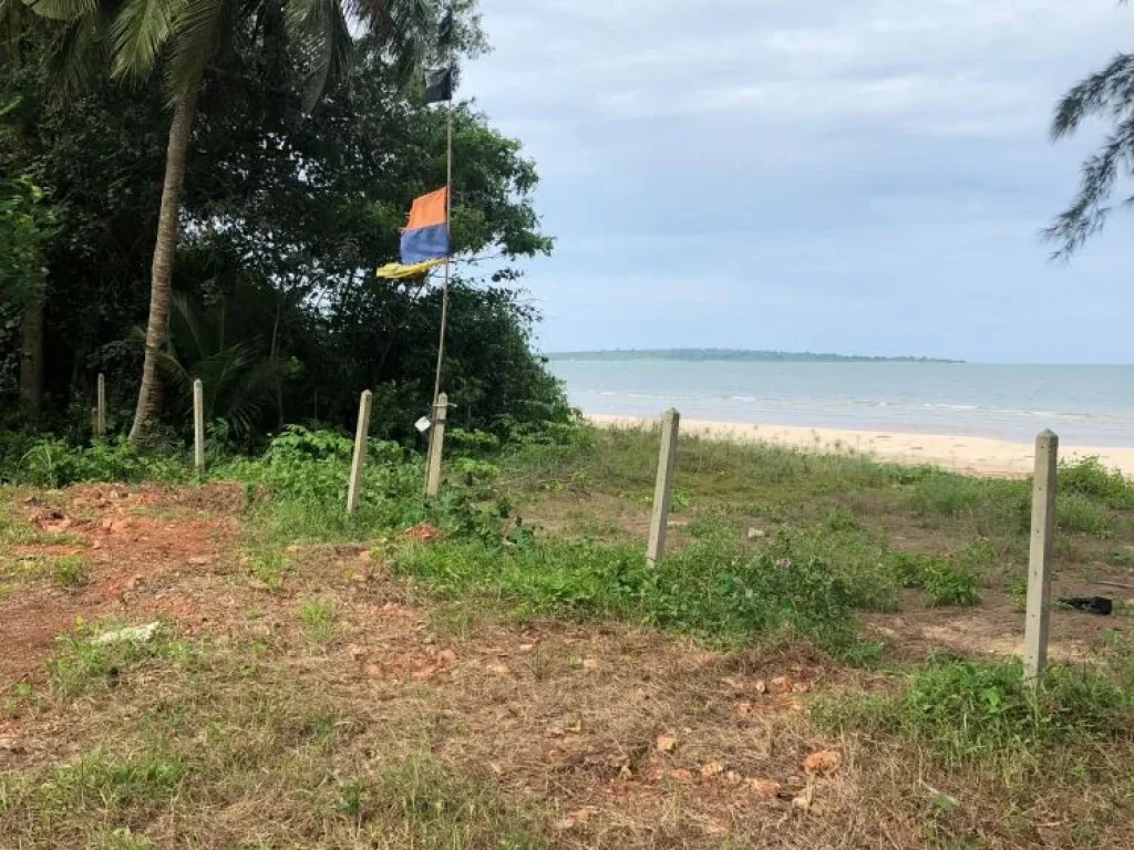 ที่ดินติดชายหาดบางสนทำเลสวย เหมาะแก่การลงทุนทำรีสอร์ท