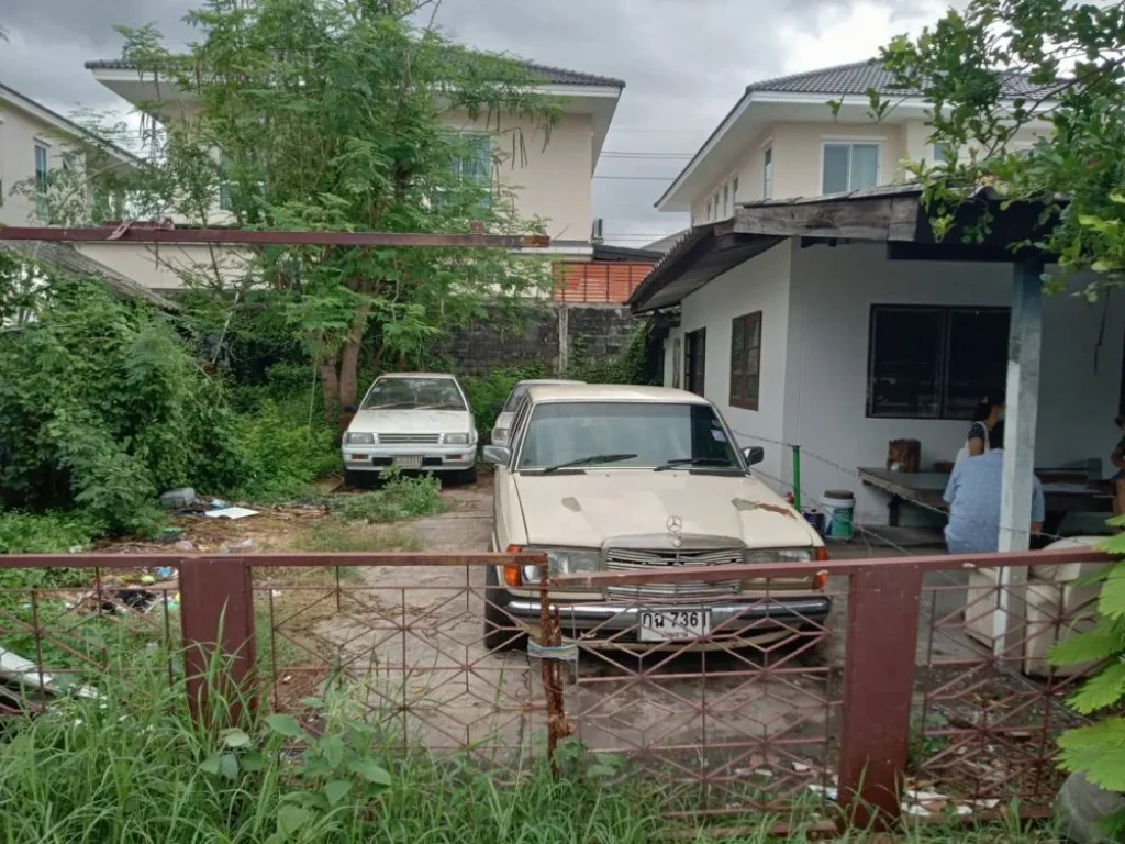 ที่ดินเปล่า ลำลูกกา ปทุมธานี แปลงที่ดินสี่เหลี่ยม 30 ตรว