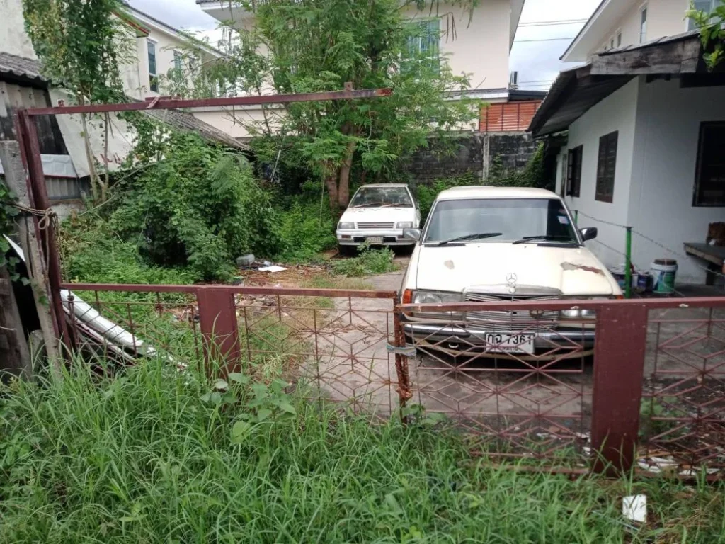 ที่ดินเปล่า ลำลูกกา ปทุมธานี แปลงที่ดินสี่เหลี่ยม 30 ตรว