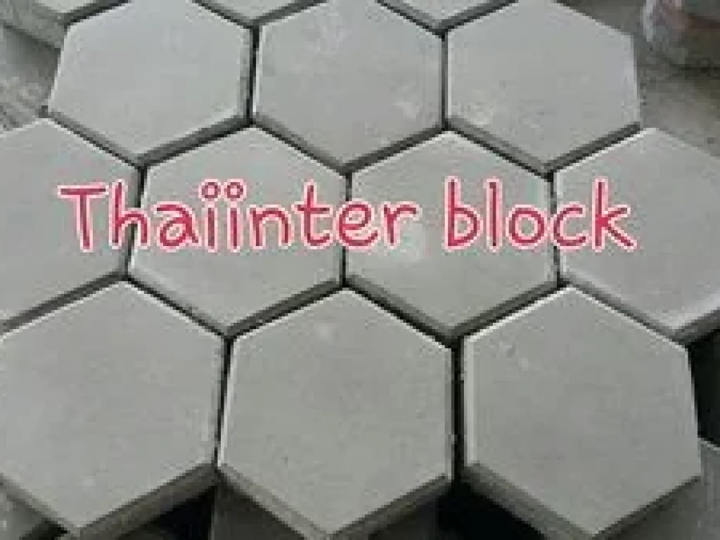 Thaiinter Block โรงงานผลิตและจำหน่ายบล็อกทางเท้า บล็อกตัวหนอน