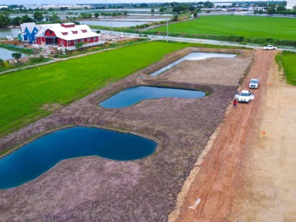 ขายที่ดินริมน้ำวิวทุ่งนา เริ่มต้น 200 ตรว ฟรีถมดิน