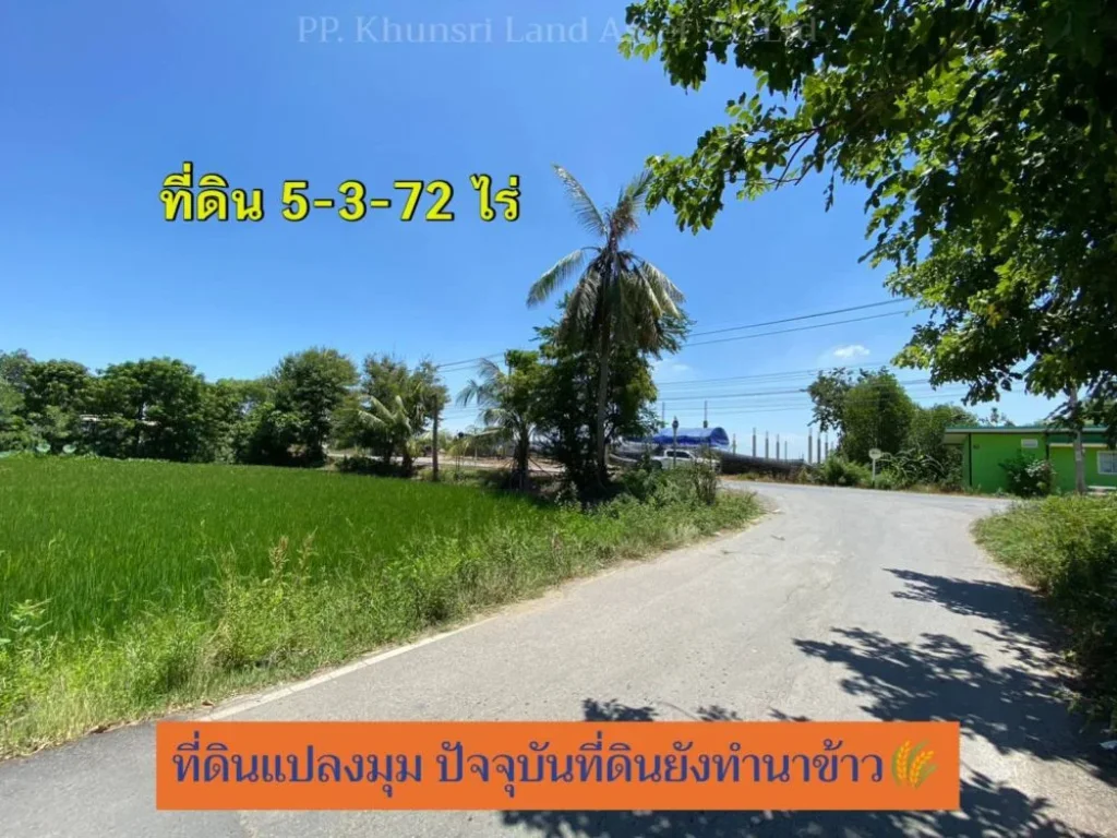 ขายที่ดินซอยวัดสามง่าม 5-3-72 ไร่ ติดเส้นเมน แปลงมุม