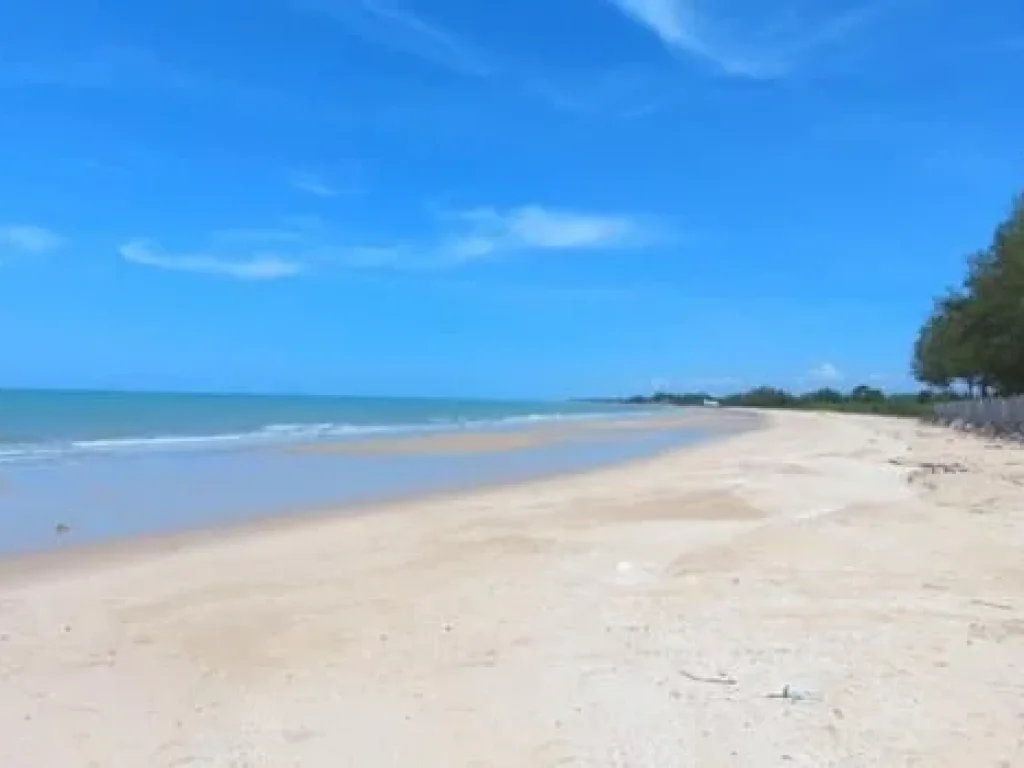 ที่ดินติดทะเลปึกเตียนหาดเพชร555ตรว หาดทรายชายทะเลสวย