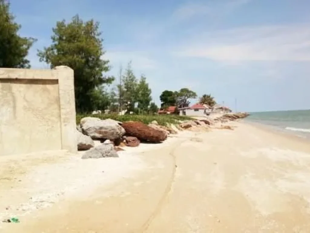 ที่ดินติดทะเลปึกเตียนหาดเพชร555ตรว หาดทรายชายทะเลสวย