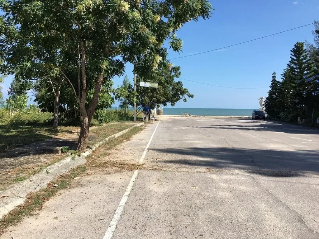 ที่ดินติดทะเลปึกเตียนหาดเพชร555ตรว หาดทรายชายทะเลสวย