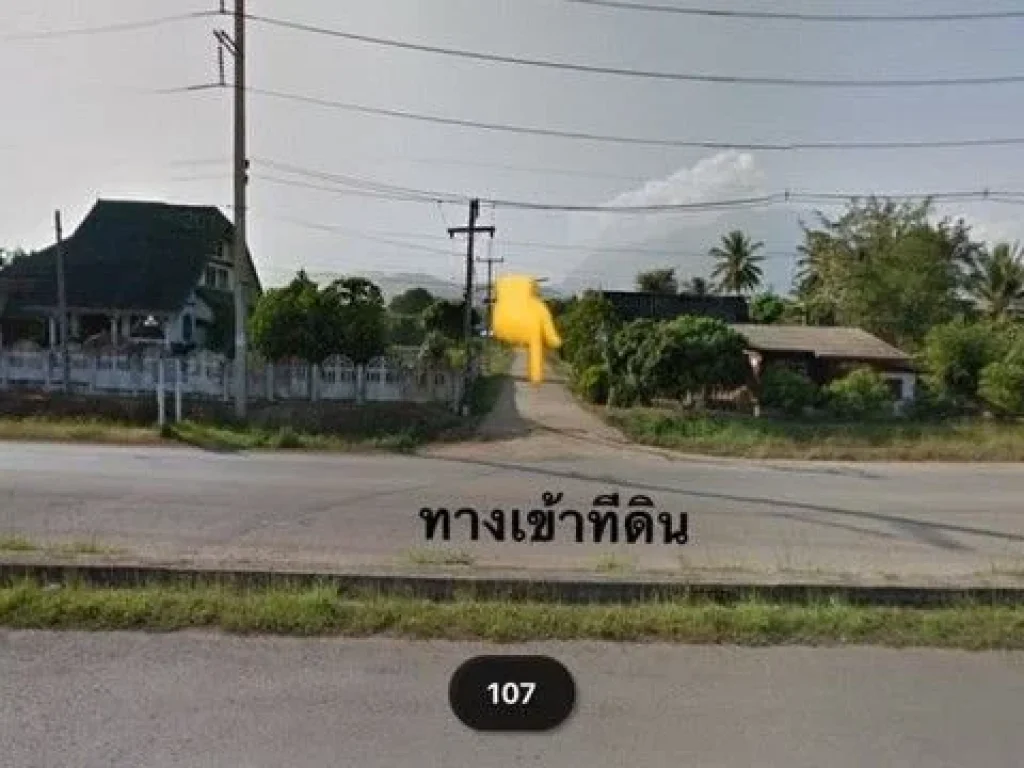 ขายที่ดินเชียงดาว เอกสารโฉนดพร้อมโอน บ้านแม่นะ ตแม่นะ