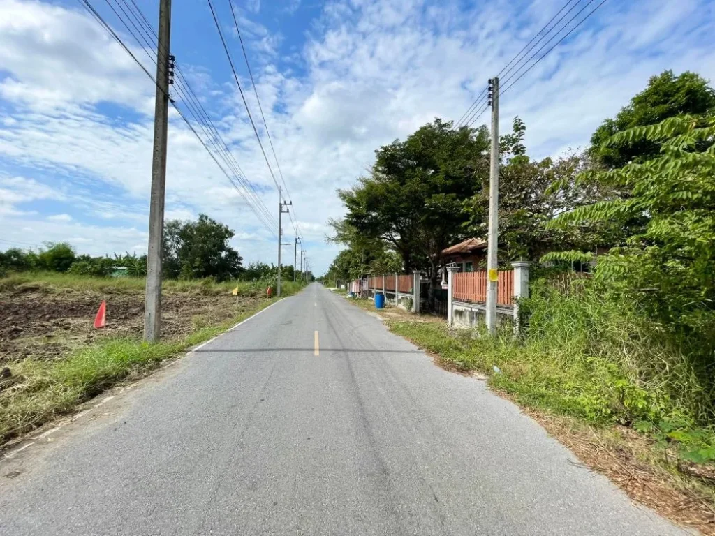 ขายด่วน ที่ดิน 100 ตรวคลอง 9 ติดถนนลาดยาง ย่านชุมชน