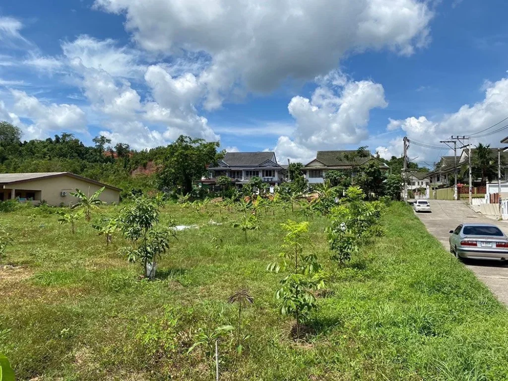 ปล่อยเช่า ที่ดิน 2 ไร่ ทำเลทองหาดใหญ่ อยู่ในชุมชน ใกล้