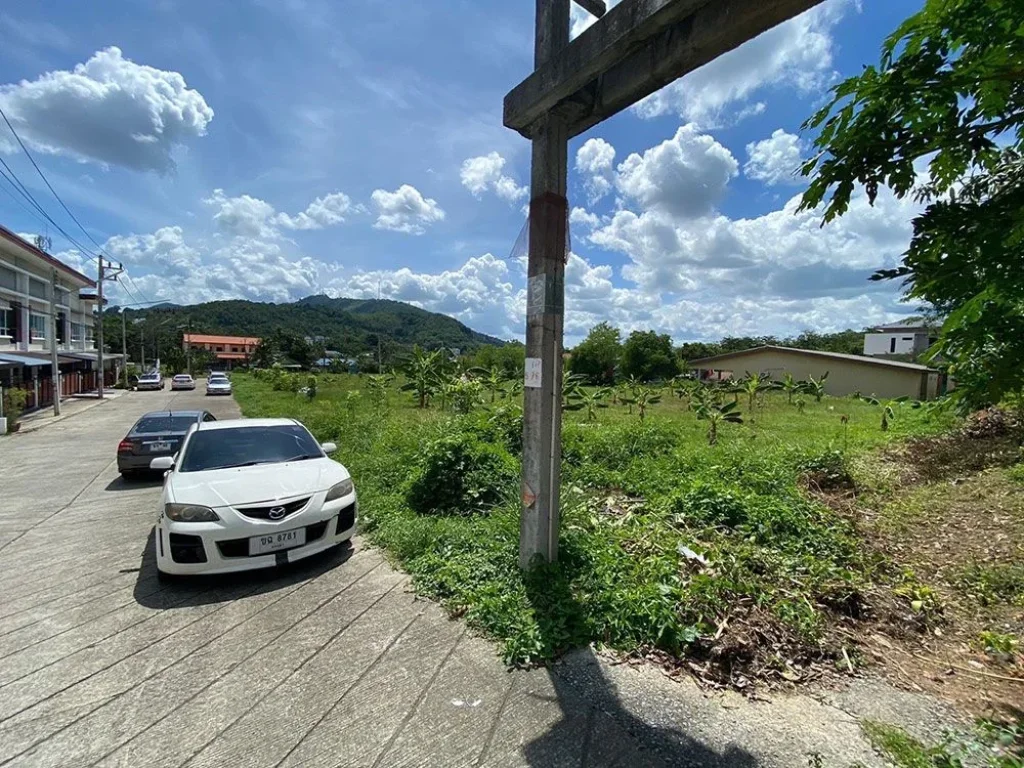 ปล่อยเช่า ที่ดิน 2 ไร่ ทำเลทองหาดใหญ่ อยู่ในชุมชน ใกล้