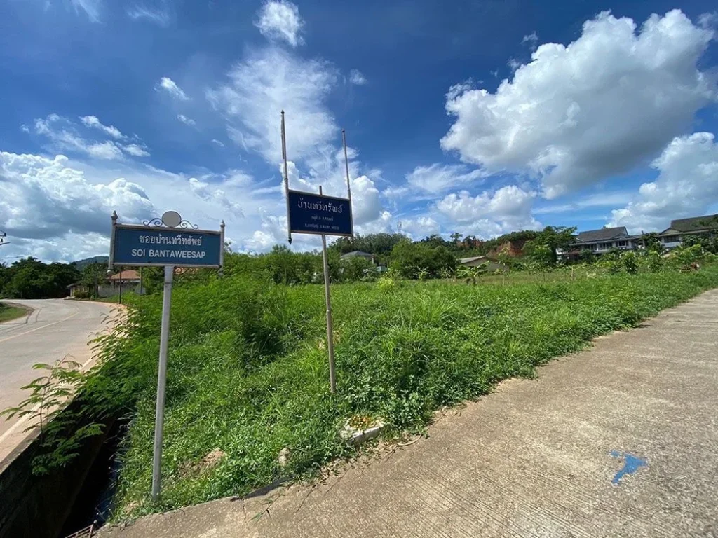 ปล่อยเช่า ที่ดิน 2 ไร่ ทำเลทองหาดใหญ่ อยู่ในชุมชน ใกล้