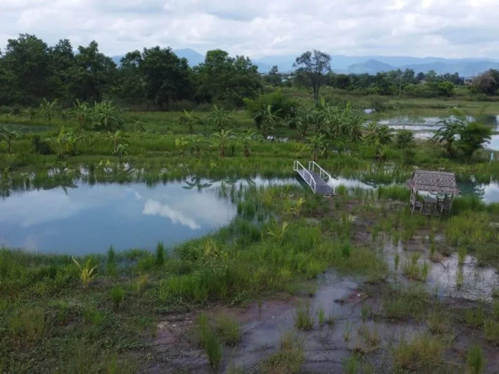 ลดราคารับลมหนาว ที่ดินสวยเพื่อการเกษียณ ที่ นครนายก ขนาด 919