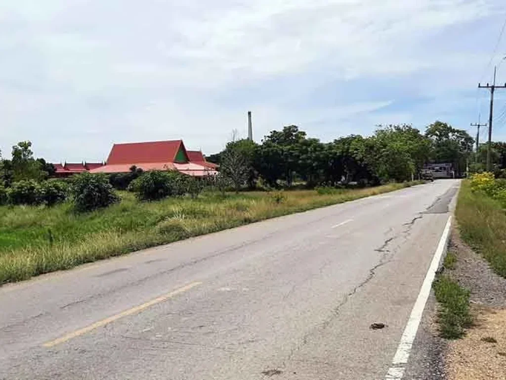 ขายที่ดินติดถนน ติดคลองชลประทาน โคกโคเฒ่า เมืองสุพรรณบุรี