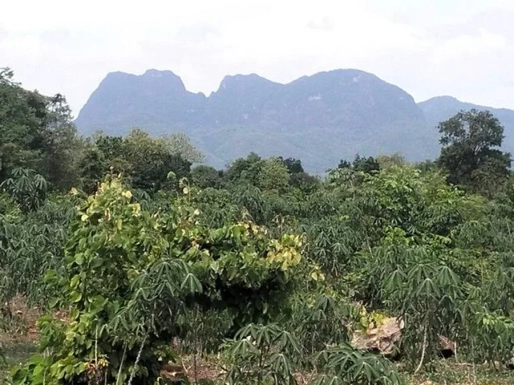 ขายที่ดินสวยวิวภูเขา ติดถนนใหญ่เหมาะสำหรับทำรีสอร์ท กาญจนบุรี