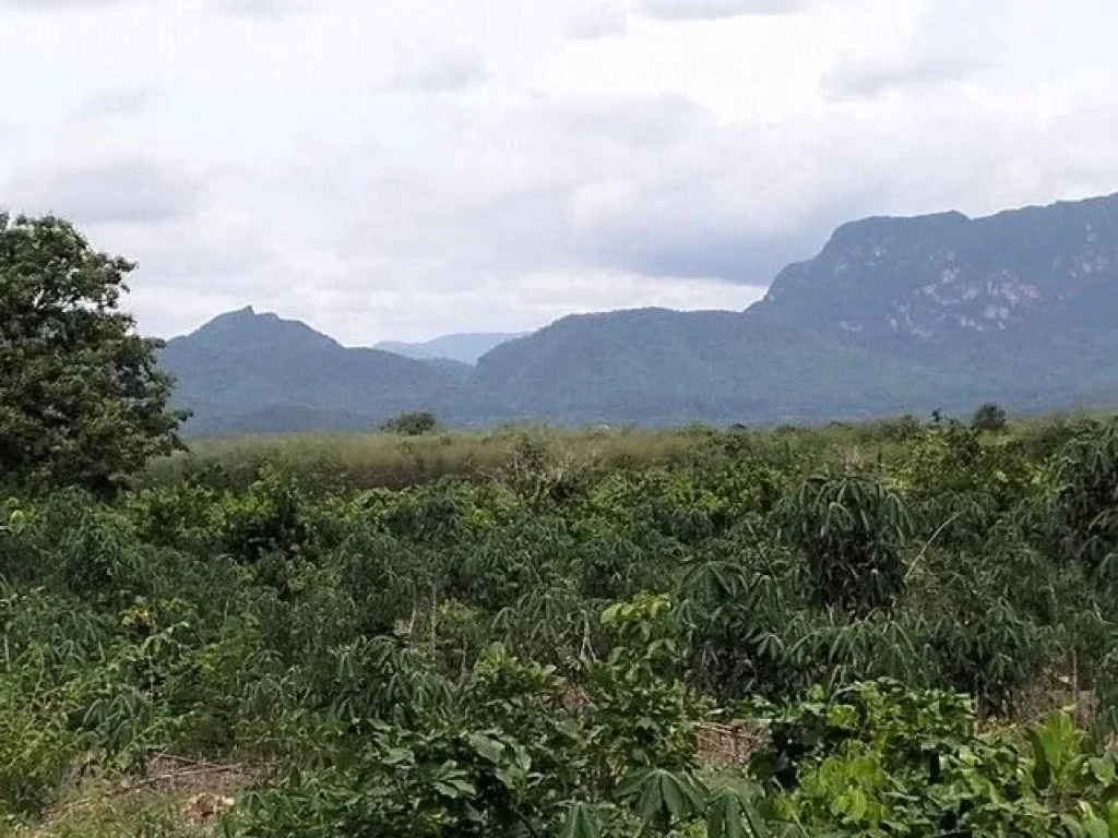 ขายที่ดินสวยวิวภูเขา ติดถนนใหญ่เหมาะสำหรับทำรีสอร์ท กาญจนบุรี