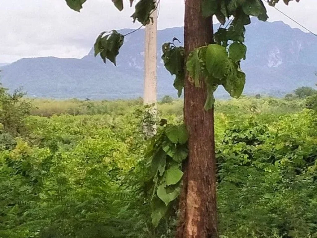 ขายที่ดินสวยวิวภูเขา ติดถนนใหญ่เหมาะสำหรับทำรีสอร์ท กาญจนบุรี