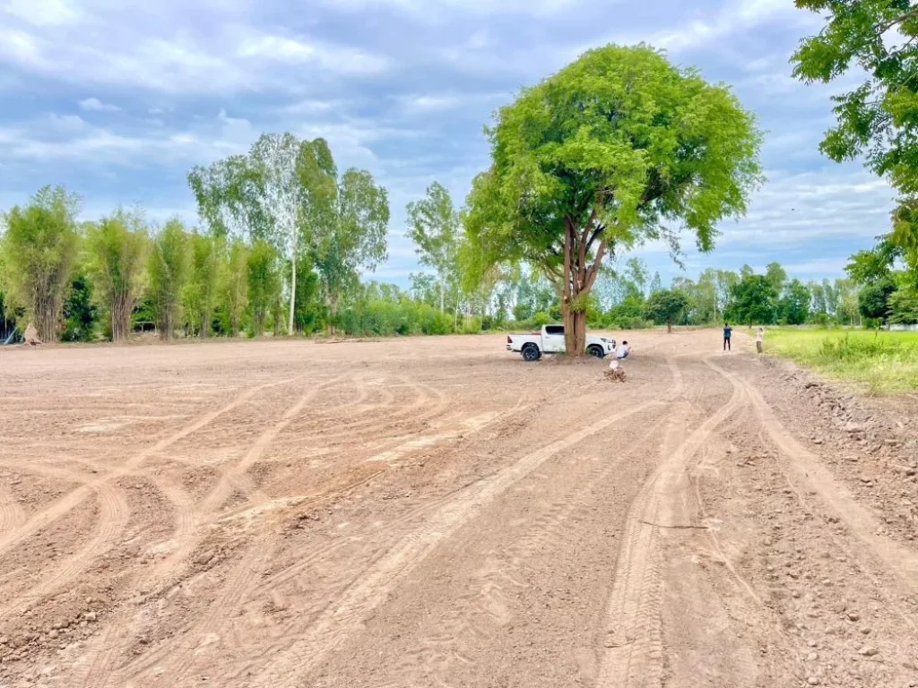 ขายที่ดินหนองราชวัตร สวยถูก 2 ไร่ หนองหญ้าไซ สุพรรณบุรี