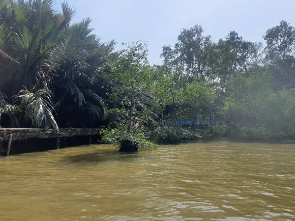 ขายที่ดินริมน้ำ ที่ดินติดแม่น้ำเจ้าพระยา บางกระเจ้า