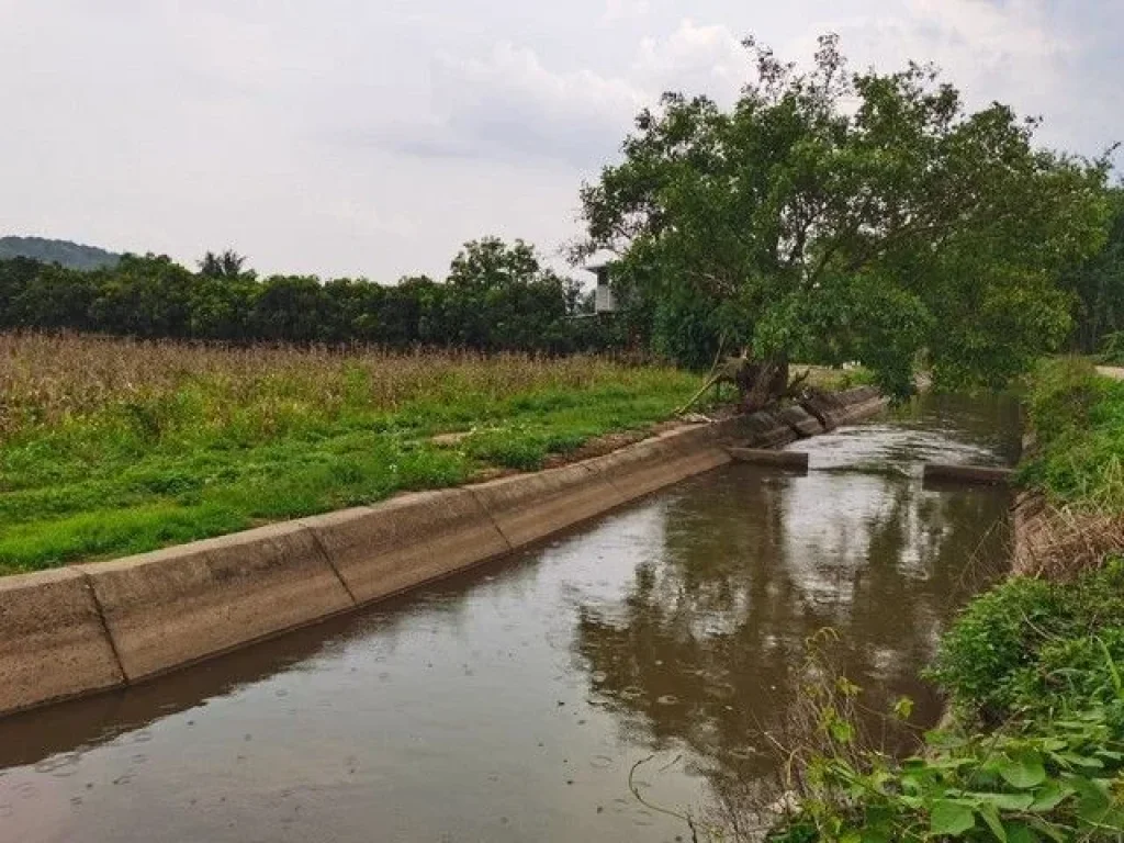 ที่ดินวิวดอยหลวงเชียงดาว วิวสวยมาก เอกสารโฉนด ขนาด